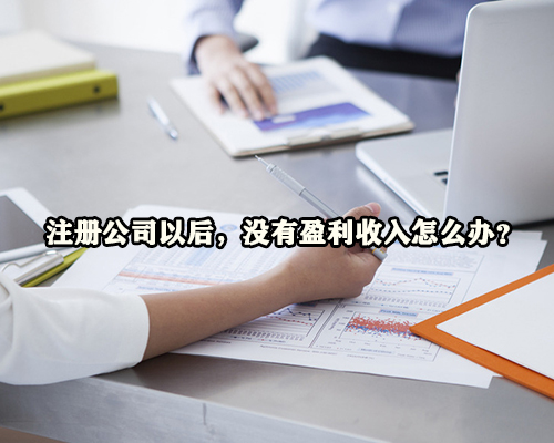 注册公司以后,没有盈利收入怎么办? 注册公司以后,没有盈利收入怎么办?