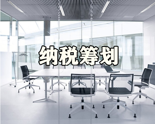 纳税筹划 纳税筹划